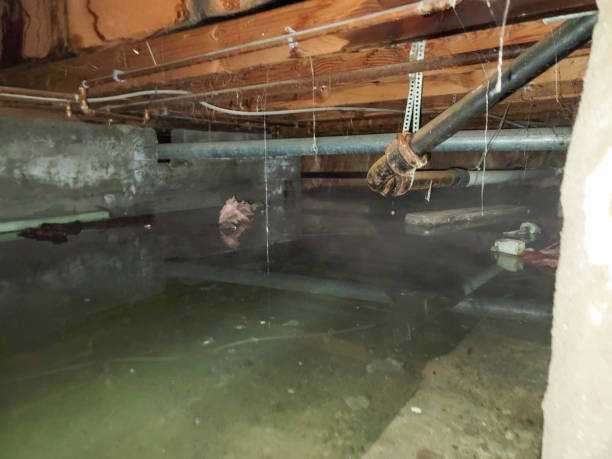 Water damage restoration process in MI