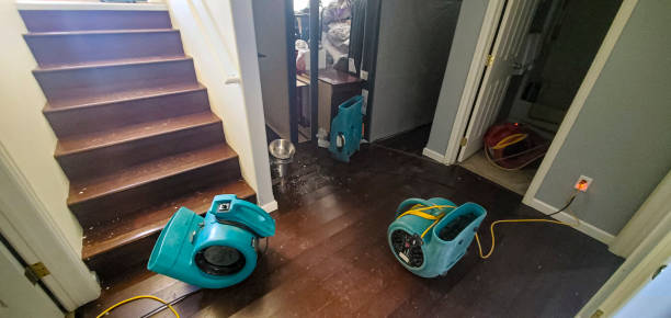  Gladwin, MI Water damage restoration Pros