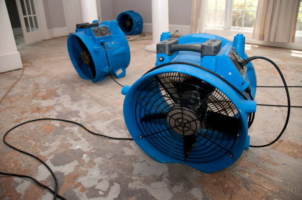 Best Emergency water damage restoration  in Gladwin, MI