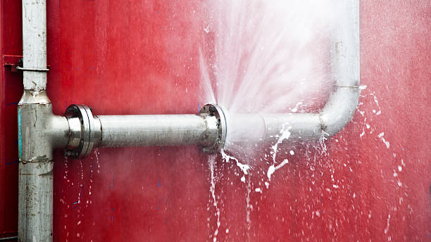 Best Carpet water damage restoration  in Gladwin, MI
